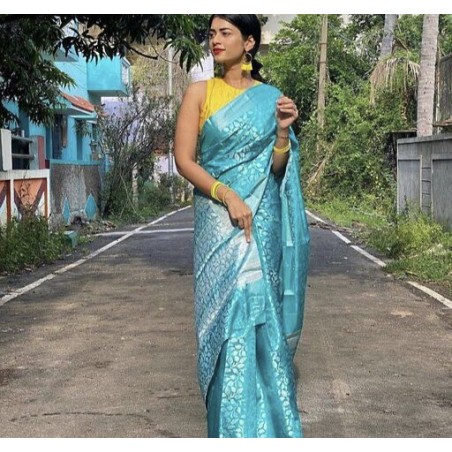 Alluring Saree
