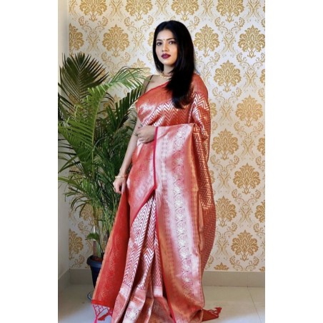 Graceful saree