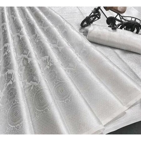 Organza saree
