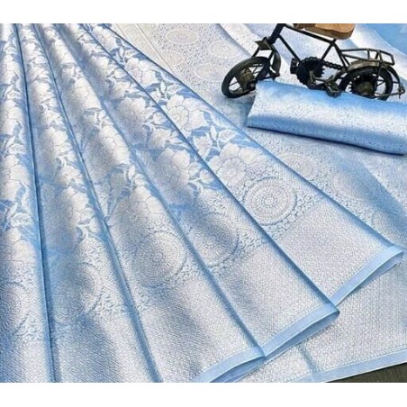 Organza saree