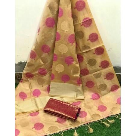 Pretty Saree