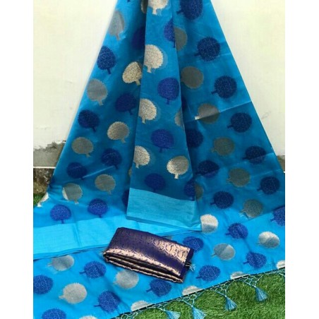 Pretty Saree