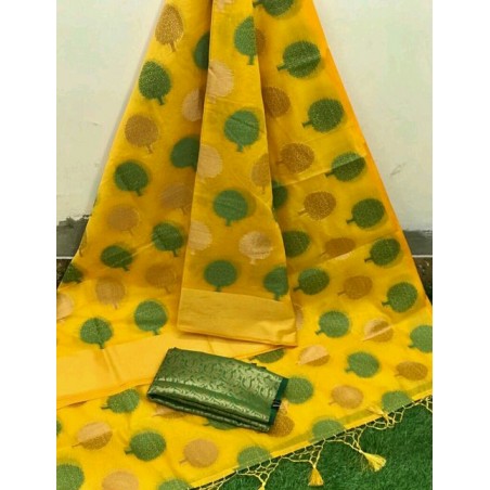 Pretty Saree