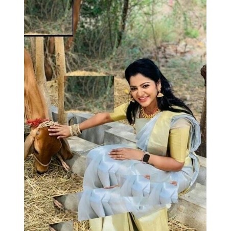 Trendy Tissue Saree