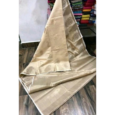 Banarasi saree