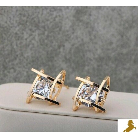 Fashionable Earrings and