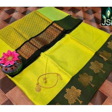 Fabulous Saree