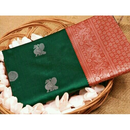 Fashionable Saree