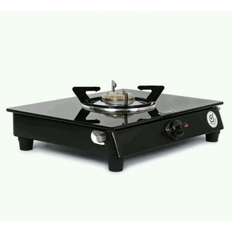LPG gas stove