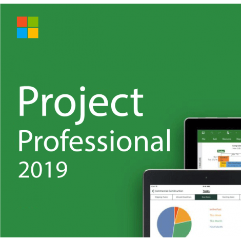 Project Professional 2019 Project Professional 2019