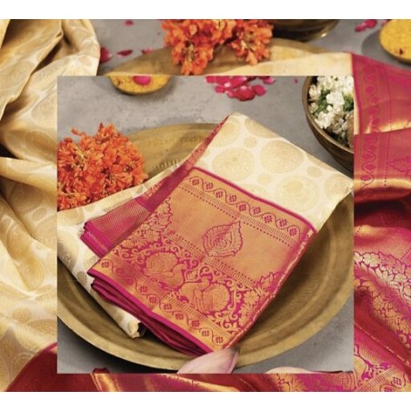 Pretty Saree