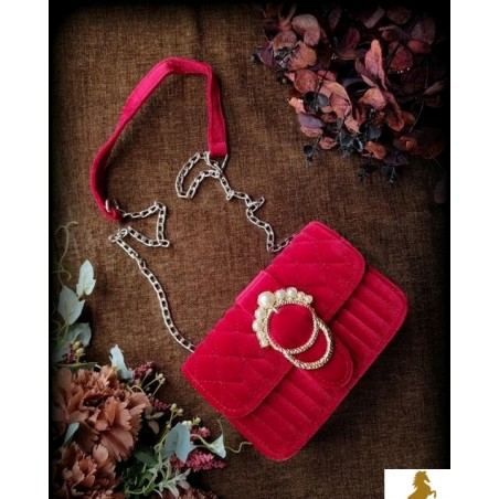 Elegant fancy women's handbag s
