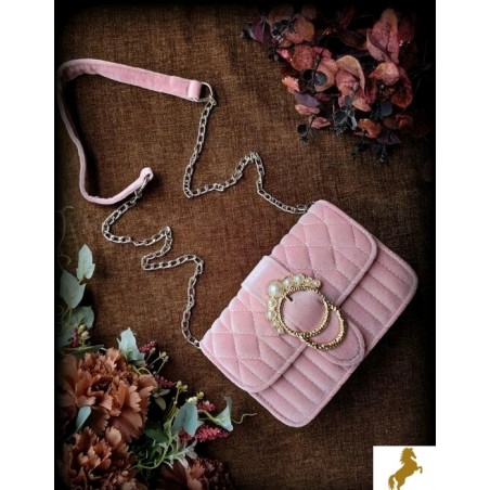 Elegant fancy women's handbag s